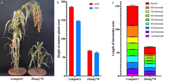 71252BD81BC67EF15320DEE1994_7890AA16_25B06.jpg 71252BD81BC67EF15320DEE1994_7890AA16_25B06.jpg