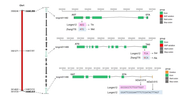 6BA1C43E3E23841A5F684F13B31_F6248B4A_1B2AB.jpg 6BA1C43E3E23841A5F684F13B31_F6248B4A_1B2AB.jpg