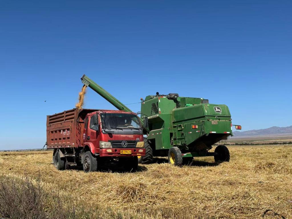 9B66B299FC37C46EBC364BEE246_073C05E4_1F8E9 (1).jpg